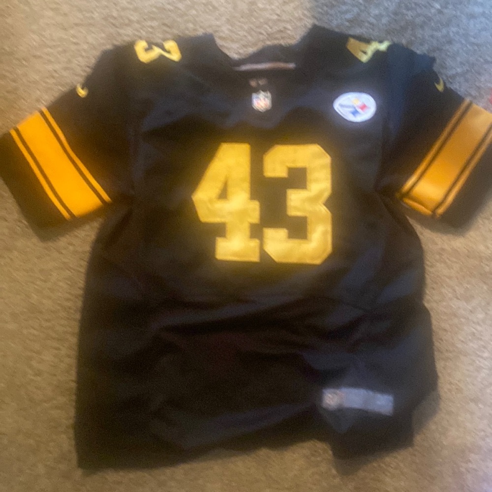 Authentic Troy palamalu Jersey w stitched letters